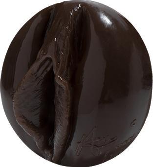 Produktbild Fleshlight Ana Foxxx