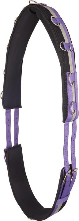 Produktbild Imperial Riding Longiergurt IRHDeluxe Nylon