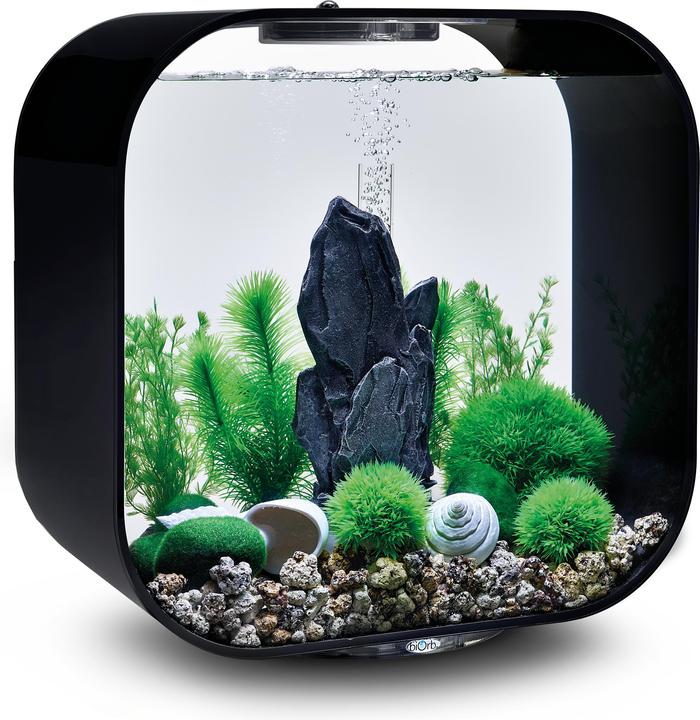 Actual product image Oase biOrb Aquarium 30 Decor Set (Embellishment, other items)