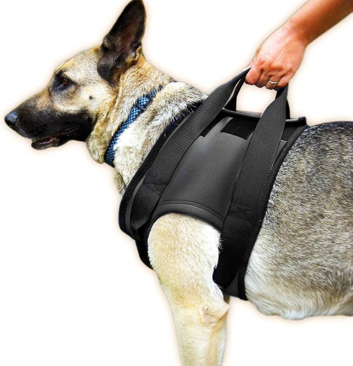 Immagine prodotto Julius-K9 Imbracatura per deambulazione (S, Cane, Generale)