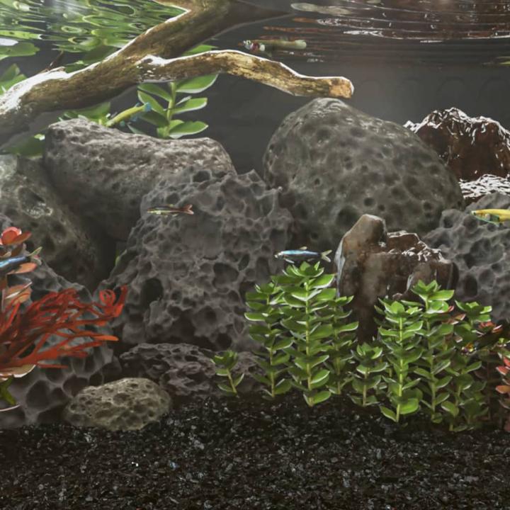 Immagine prodotto VidaXL Granulato di lava Pacciamatura di lava Pietra lavica Pacciamatura per acquari Ghiaia nera 25 kg (Decorazione, altre voci)