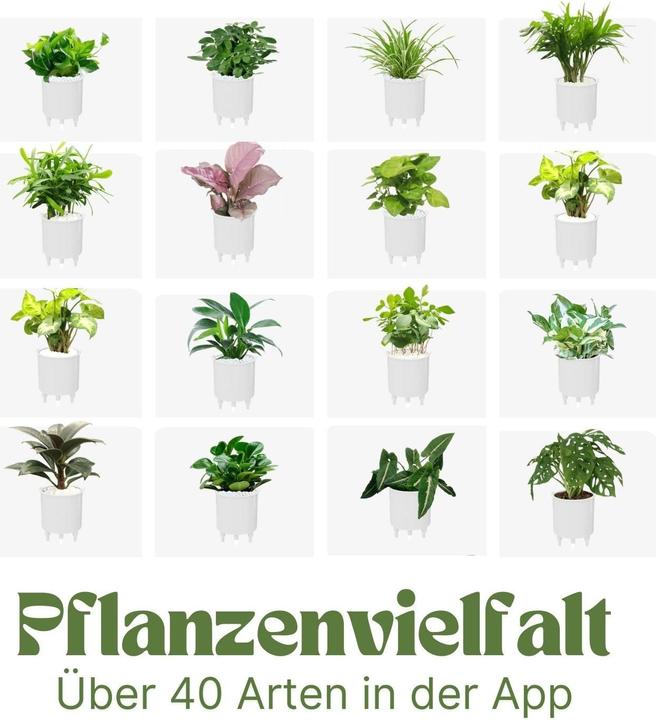 Actual product image Hermex Smart Plant Pot Electronic flower pot USB plant planter Smart flower pot Ivy Smart Planter (11 cm)