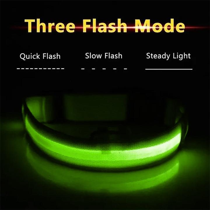 Produktbild Cbx Aufladbares LED-Hundehalsband Grösse L - 46-50cm (L, Hund)