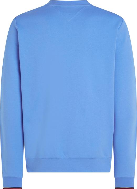 Actual product image Tommy Hilfiger Wcc Tommy Logo Tipped Crewneck (L)