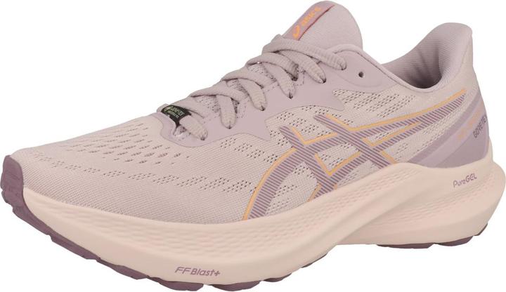 Image du produit ASICS Performance GT-2000 12 GTX - 64539 (44)