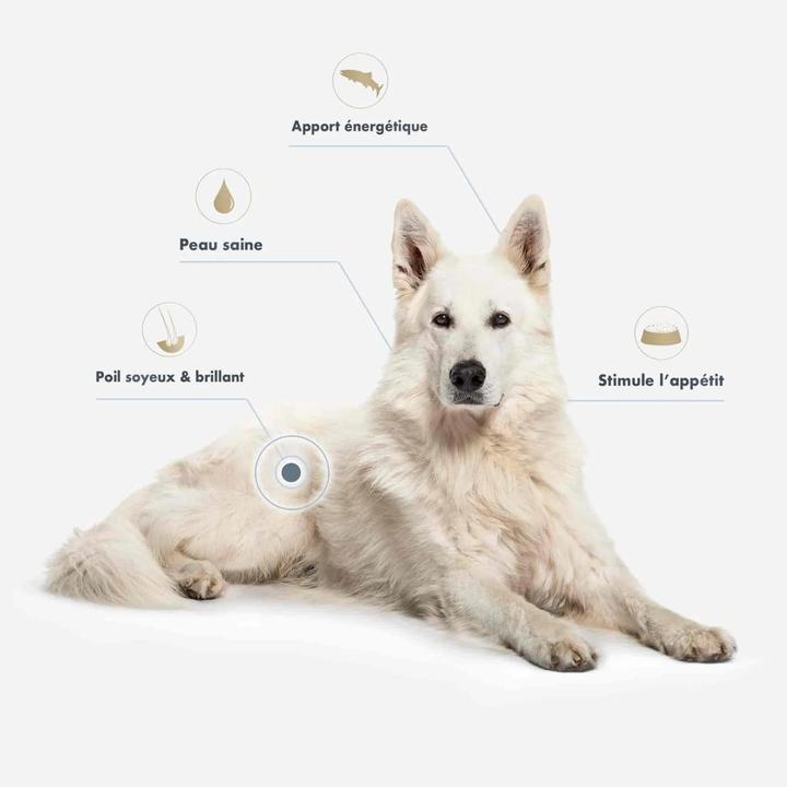 Produktbild Ultra Premium Direct Lachsöl (Hund, 500 ml)