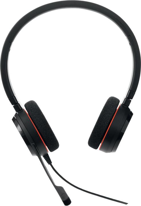 Actual product image Jabra Evolve 20 (Cable, USB-A)