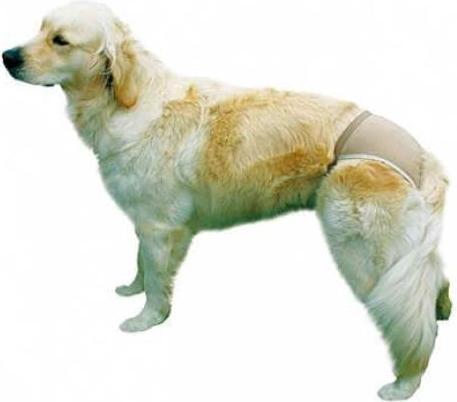 Actual product image Trixie Protective panties XL 60-70cm (XL, Dog overalls)