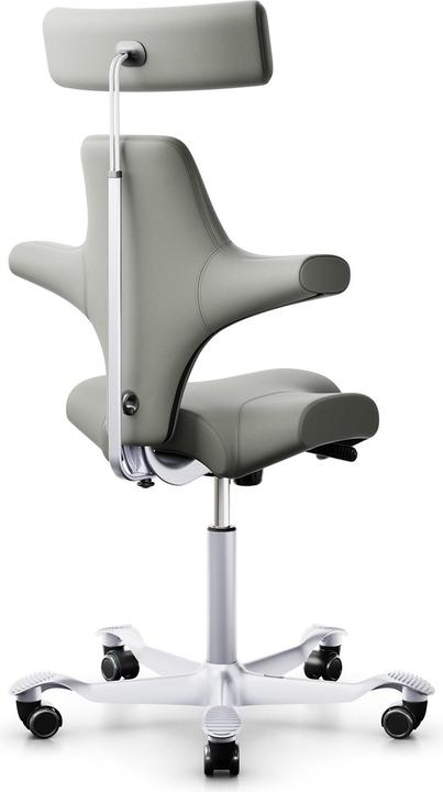 Actual product image HAG Capisco 8107