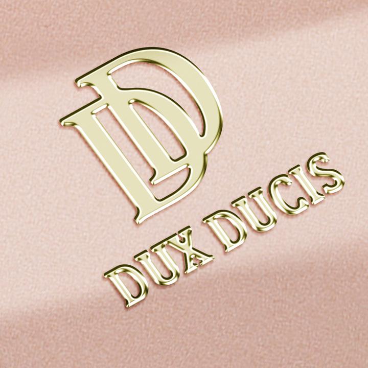 Produktbild Dux Ducis Cover (Samsung Galaxy S24 Ultra)