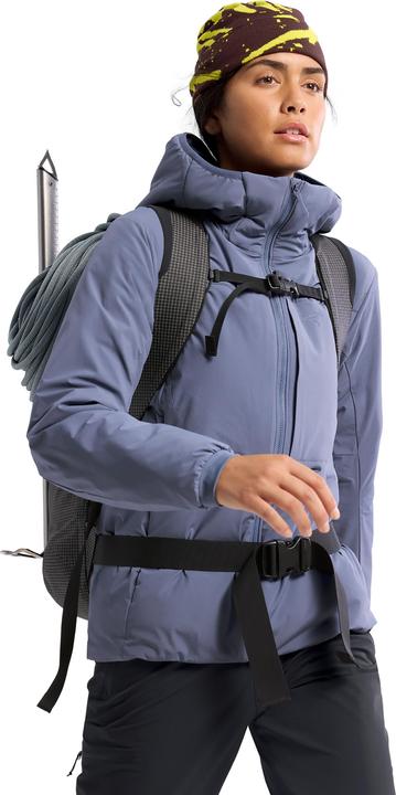Image du produit Arc'teryx Sweat à capuche Proton Heavyweight (L)