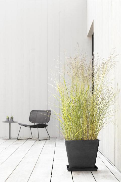 Actual product image Ecopots Rotterdam (40 cm)