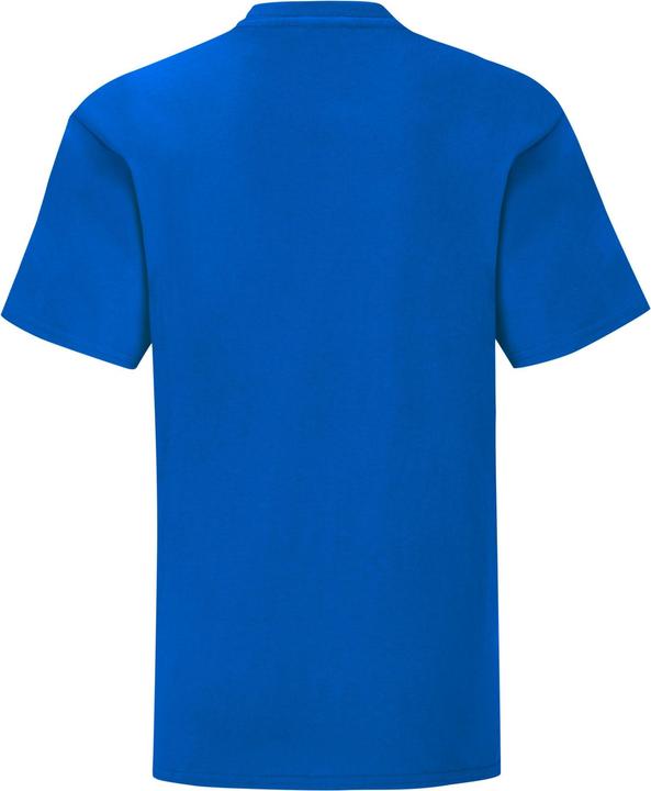 Actual product image Fruit of the Loom Childrens/Kids Iconic 150 T-Shirt (128)
