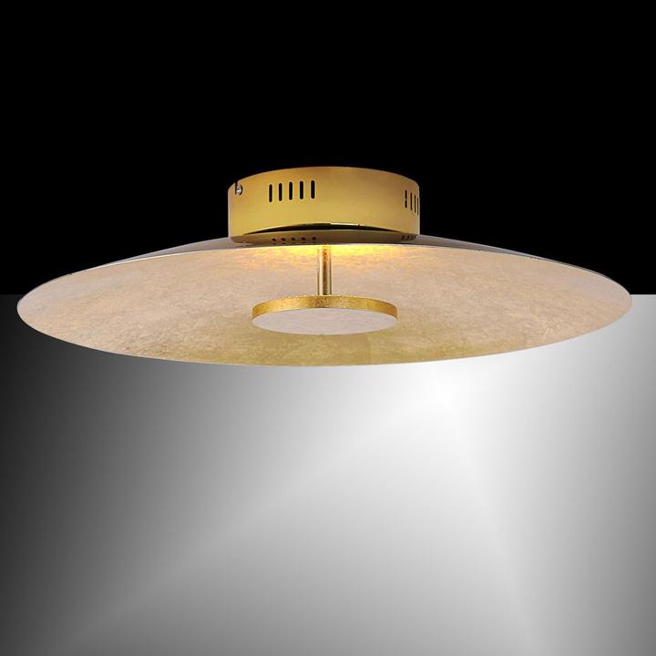 Actual product image Paul Neuhaus Plate (2875 lm)