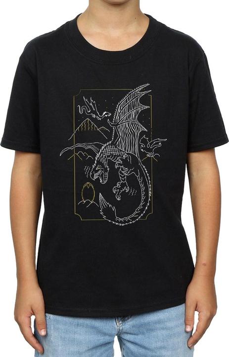 Actual product image Boys Dragon Line Art T-Shirt (152, 158)