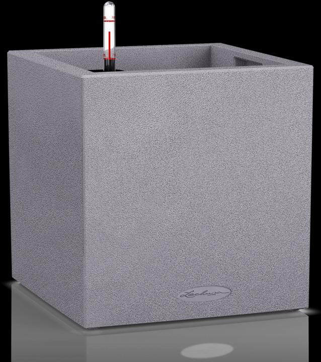 Actual product image Lechuza Canto (30 cm)