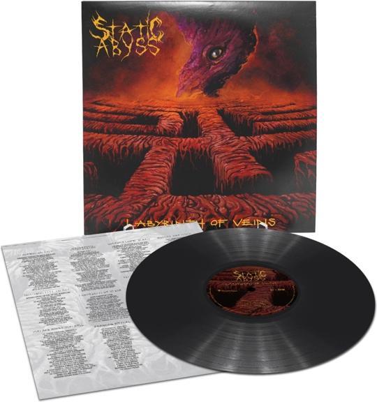 Image du produit Labyrinthe Of Veins (vinyle noir) (Abîme statique, 2022)