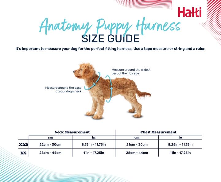 Actual product image Company of Animals Halti Anatomy XXS puppy harness (XXS, Dog)