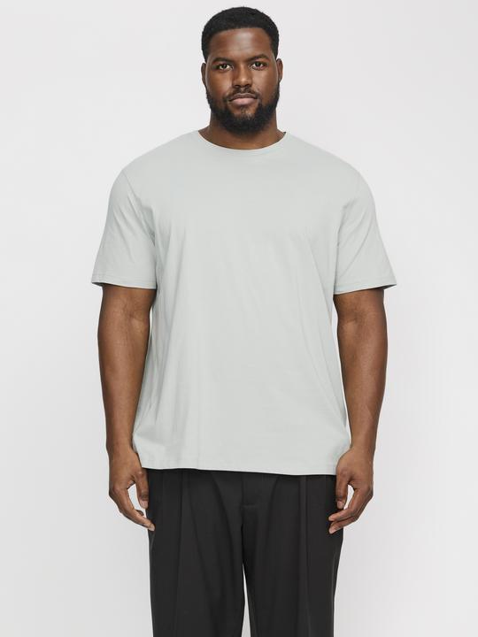 Actual product image Jack & Jones Jjeorganic Basic Tee Ss O-Neck Noos Pls (XXL)