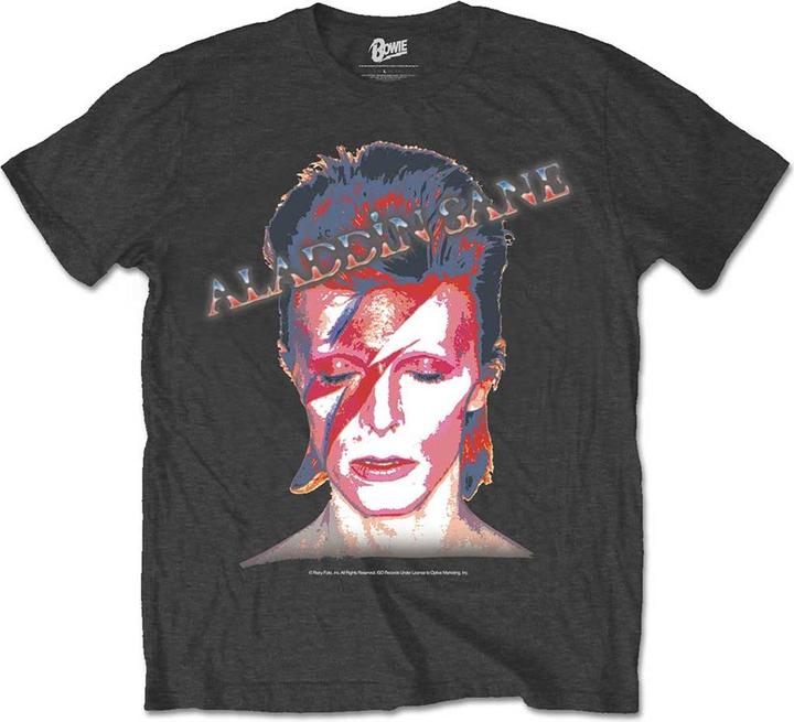 David Bowie Aladdin Sane