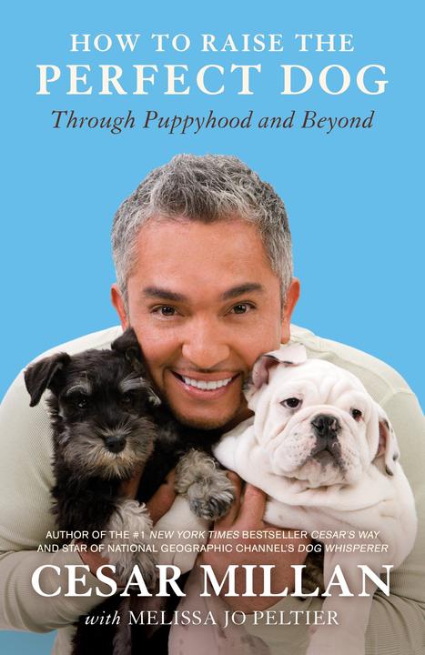 Immagine prodotto How to Raise the Perfect Dog (Inglese, Melissa Jo Peltier, Cesare Millan, 2010)