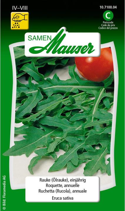 Image du produit Samen Mauser salade de roquette (Graines d'herbes aromatiques)