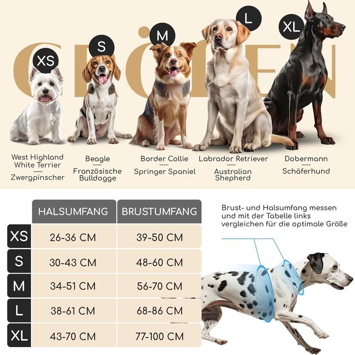 Image du produit Freudentier Atmungsaktives Hundegeschirr mit Griff & Polsterung (M, Chien)