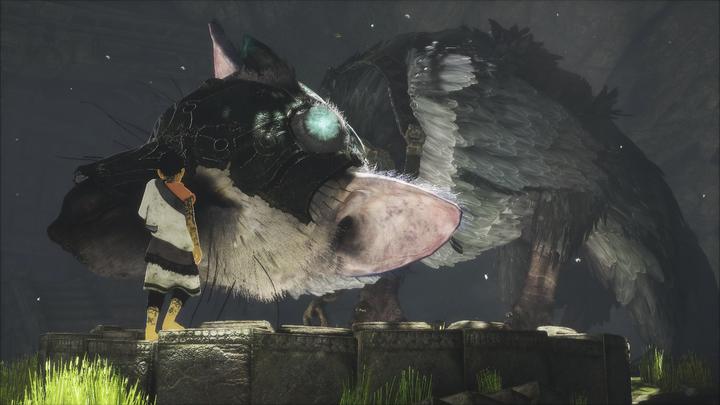 Immagine prodotto Sony L'ultimo guardiano (PS4, Multilingue)