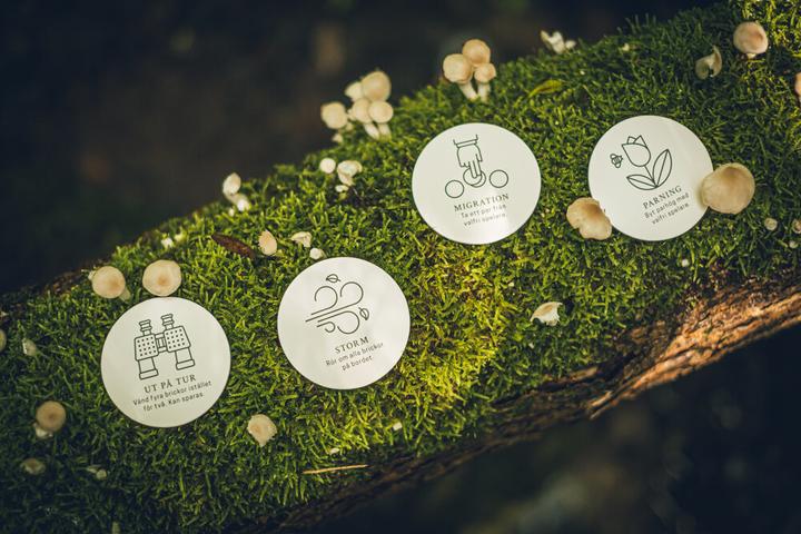 Actual product image Ninja Print Skogen (memory spel)