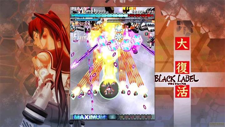 Produktbild Limited Run DoDonPachi Resurrection (Import) (Switch, Switch Lite, Switch OLED, EN)