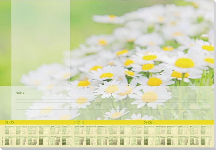 Produktbild Sigel Schreibtischunterlage Lovely Daisies grün/weiss 30 Blatt