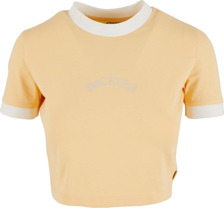 Dickies Warm Springs T-Shirt - 125477