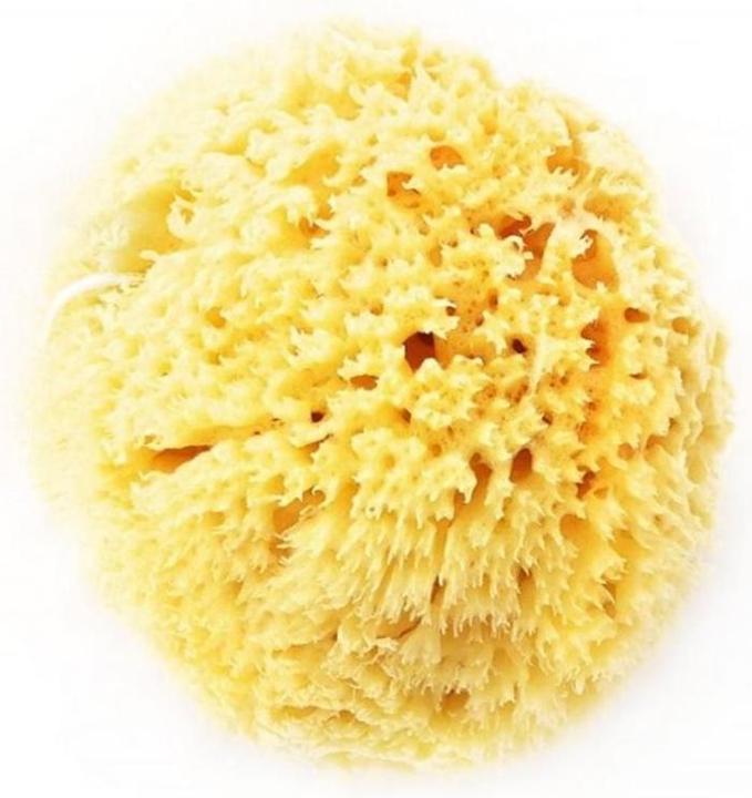 Actual product image Herba Natural sponge
