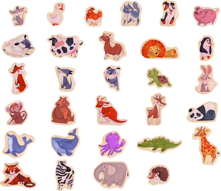 Actual product image Hape Magnetic Animals