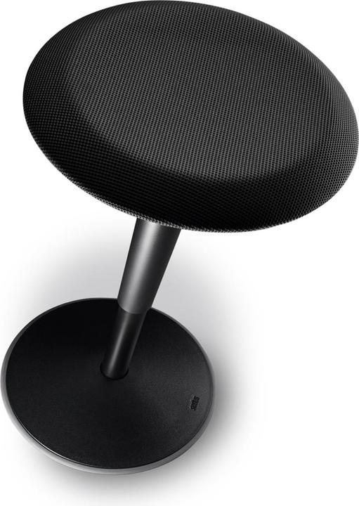 Actual product image Sedus se:fit Padded seat Polyamide (PA) (e)