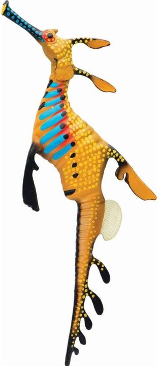 Produktbild Safari Seedrachen