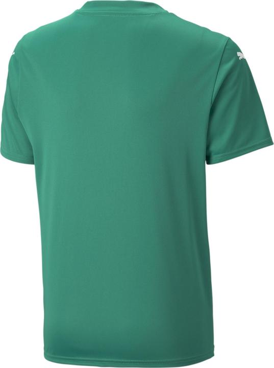 Actual product image Puma teamULTIMATE Jersey Jr (176)