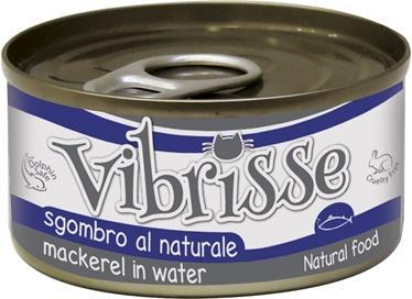 Actual product image Vibrisse konservai katėms su skumbre 70g 12vnt (24) (Adult, 12 pcs., 1680 g)