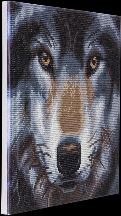 Actual product image Craft Buddy Wolf