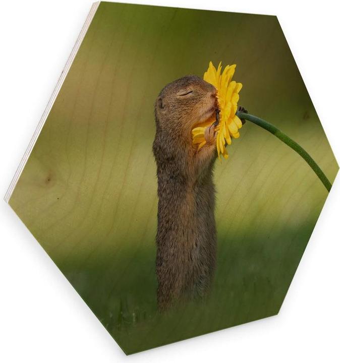 Actual product image Trenddeko van Duijn - Gopher smells flower (35 x 30 cm)