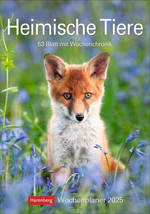 Produktbild Harenberg Heimische Tiere Wochenplaner 2025 - 53 Blatt mit Wochenchronik (Harter Einband, Deutsch)