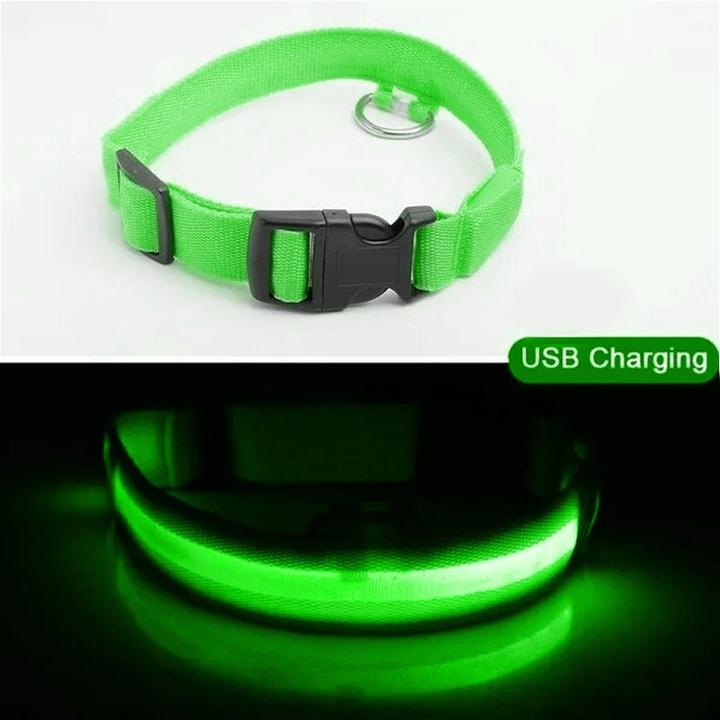 Produktbild Cbx Aufladbares LED-Hundehalsband Grösse L - 46-50cm (L, Hund)