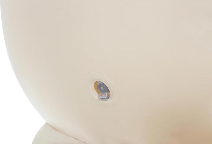Actual product image Dream Chaser Teddy