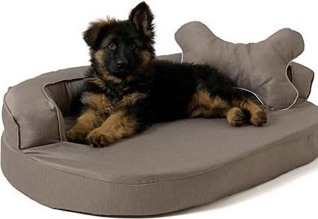 Produktbild Go Gift GoGift Oval Haustier Sofa braun 100 x 65 x 10 cm (Katze, Hund)