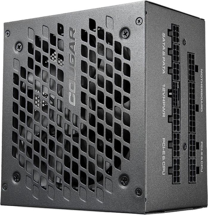 Actual product image Cougar Alimentation ATX GEX X2 - 1000W (Noir) (1000 W)