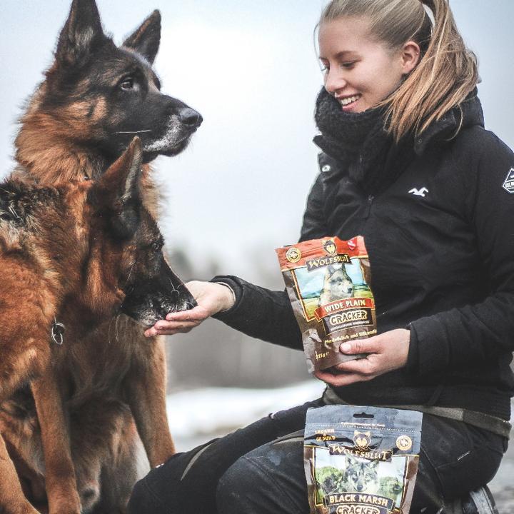 Immagine prodotto Wolfsblut Cracker Snack per cani Wide Plain Horse & Sweet Potato 225 g (Adulto, 1 pz., 225 g)