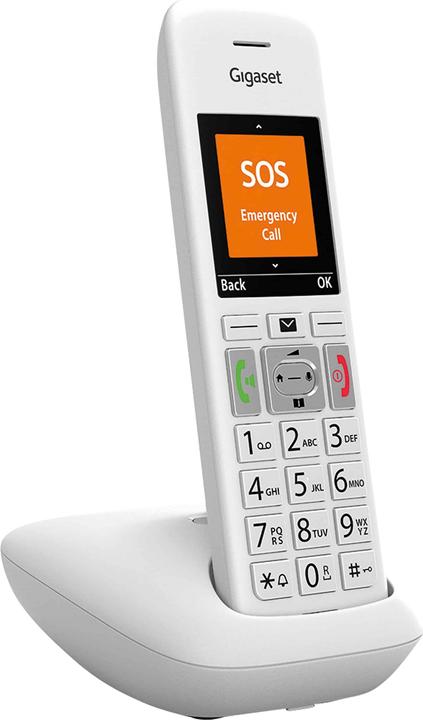 Gigaset E390