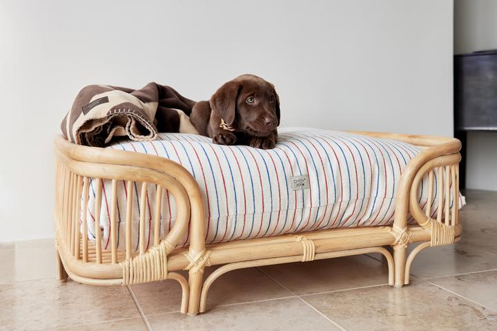 Image du produit Oyoy ZOO - Kyoto Dog Cushion Large - Mellow (Z60060) (Chien)