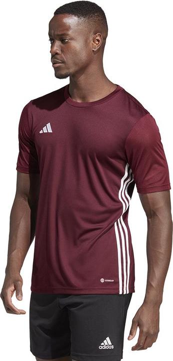 Actual product image adidas Mens Table 23 Jersey Burgundy IB4928 (S) (S)
