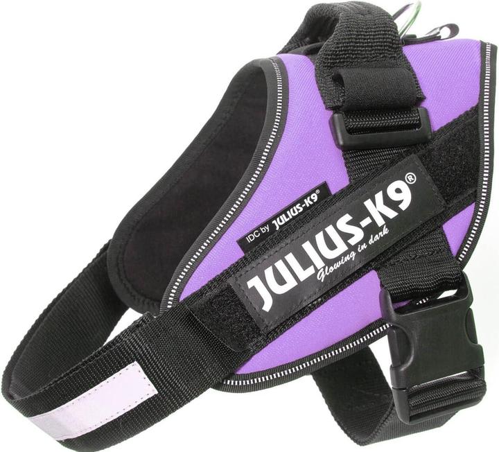 Productafbeelding Julius-K9 IDC-voedingsharnas paars (M, Hond, Algemeen, Hondensport, Loop, Fiets)